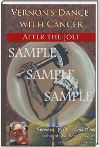 SAMPLE JOLT BOOK COVER